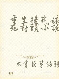 重生后我嫁给了死对头小说
