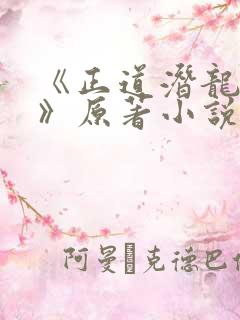 《正道潜龙伪戒》原著小说