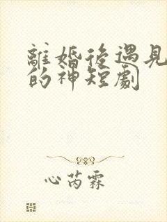 离婚后遇见心软的神短剧