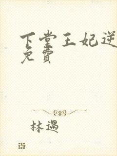 下堂王妃逆袭记免费