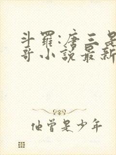 斗罗:唐三是我哥小说最新章节