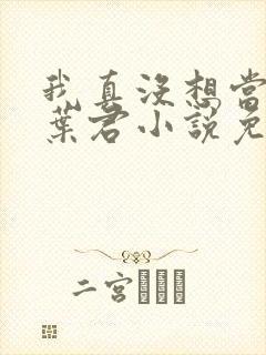 我真没想当皇上叶君小说免费