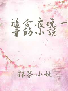 适合夜晚一个人看的小说