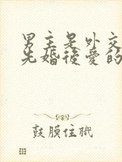 男主是外交官的先婚后爱的小说