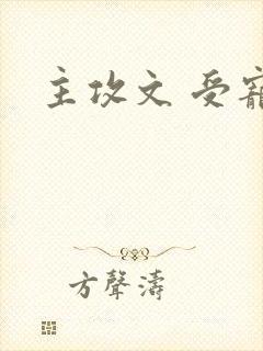 主攻文 受宠攻