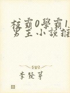 校霸0学霸1双男主小说推荐