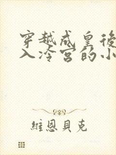 穿越成皇后被打入冷宫的小说