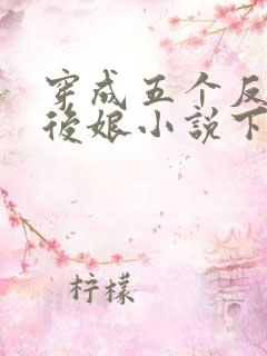 穿成五个反派的后娘小说下载
