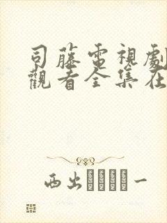 司藤电视剧免费观看全集在线观看