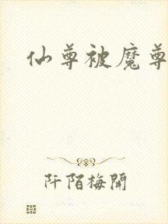 仙尊被魔尊俘虏