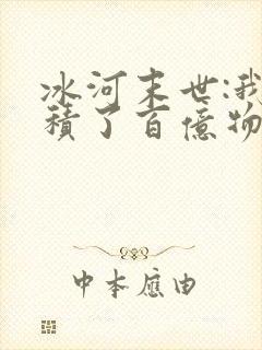 冰河末世:我囤积了百亿物资