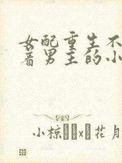 女配重生不再缠着男主的小说