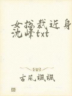 女总裁近身兵王沈峰txt