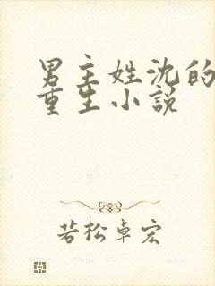 男主姓沈的所有重生小说