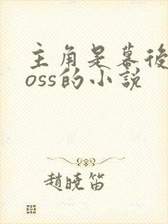 主角是幕后大boss的小说