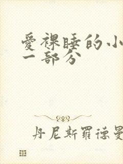 爱裸睡的小丹第一部分