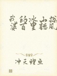 我的冰山总裁老婆百里听风