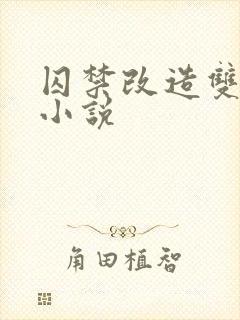 囚禁改造双男主小说