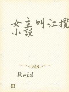 女主叫江揽月的小说