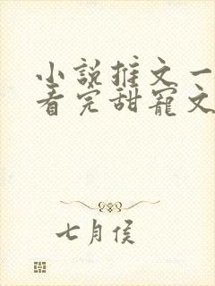 小说推文一口气看完甜宠文