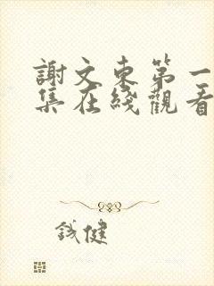 谢文东第一季全集在线观看