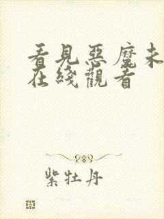 看见恶魔未删减在线观看