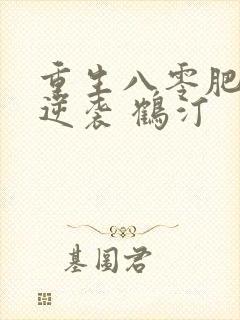 重生八零肥妻要逆袭 鹤汀