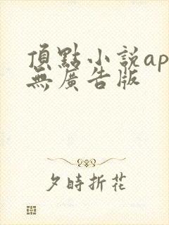 顶点小说app无广告版