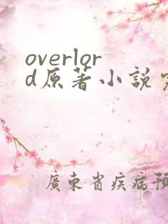 overlord原著小说完结了吗