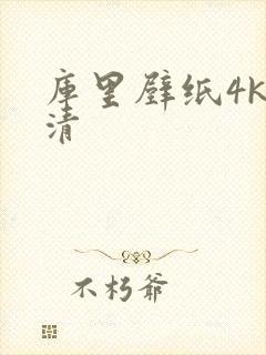 库里壁纸4k超清