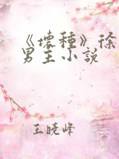 《坏种》徐白双男主小说