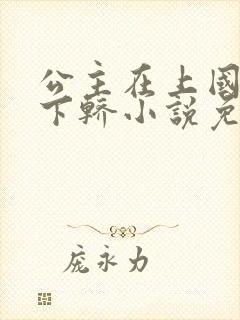 公主在上国师请下轿小说免费阅读