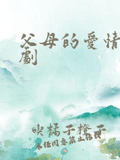 父母的爱情连续剧