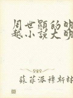 周世显的明朝穿越小说大明驸马爷