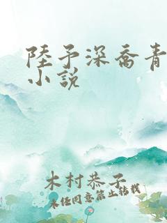陆予深乔青穗的小说