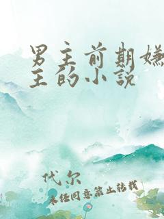 男主前期嫌弃女主的小说