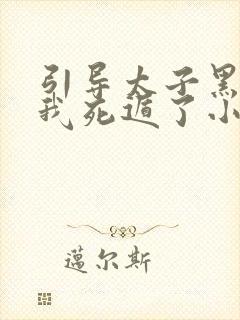 引导太子黑化后我死遁了小说