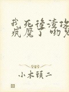 我死后渣攻们都疯魔了 哟儿