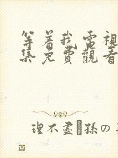 等着我电视剧全集免费观看