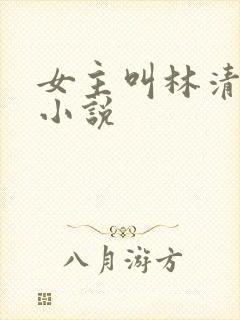 女主叫林清歌的小说