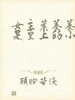 女主叶蓁蓁男主是皇上的小说