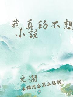 我真的不想穿越 小说