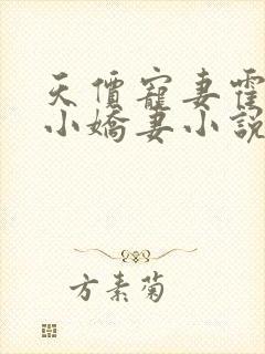 天价宠妻霍总的小娇妻小说免费阅读