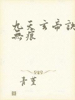 九天玄帝诀傲天无痕