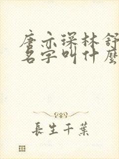 唐亦琛林舒小说名字叫什么