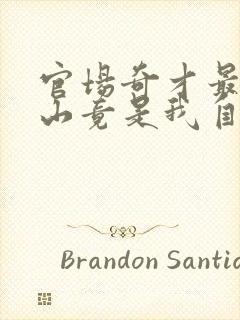 官场奇才最强靠山竟是我自己李霖的小说