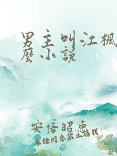 男主叫江枫是什么小说