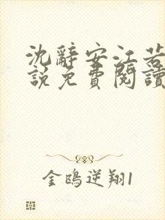 沈辞安江若兮小说免费阅读无弹窗