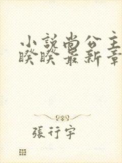 小说尚公主伊人睽睽最新章节目录