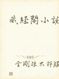 藏经阁小说大全